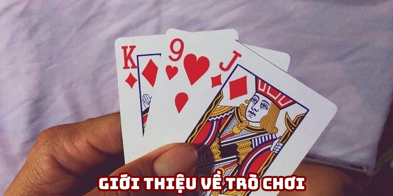 Các thông tin về chúng tôi bạn nên biết